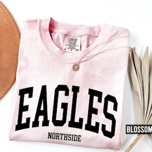 Custom Comfort Colors Team Mascot T-Shirt: Personalized School Spirit