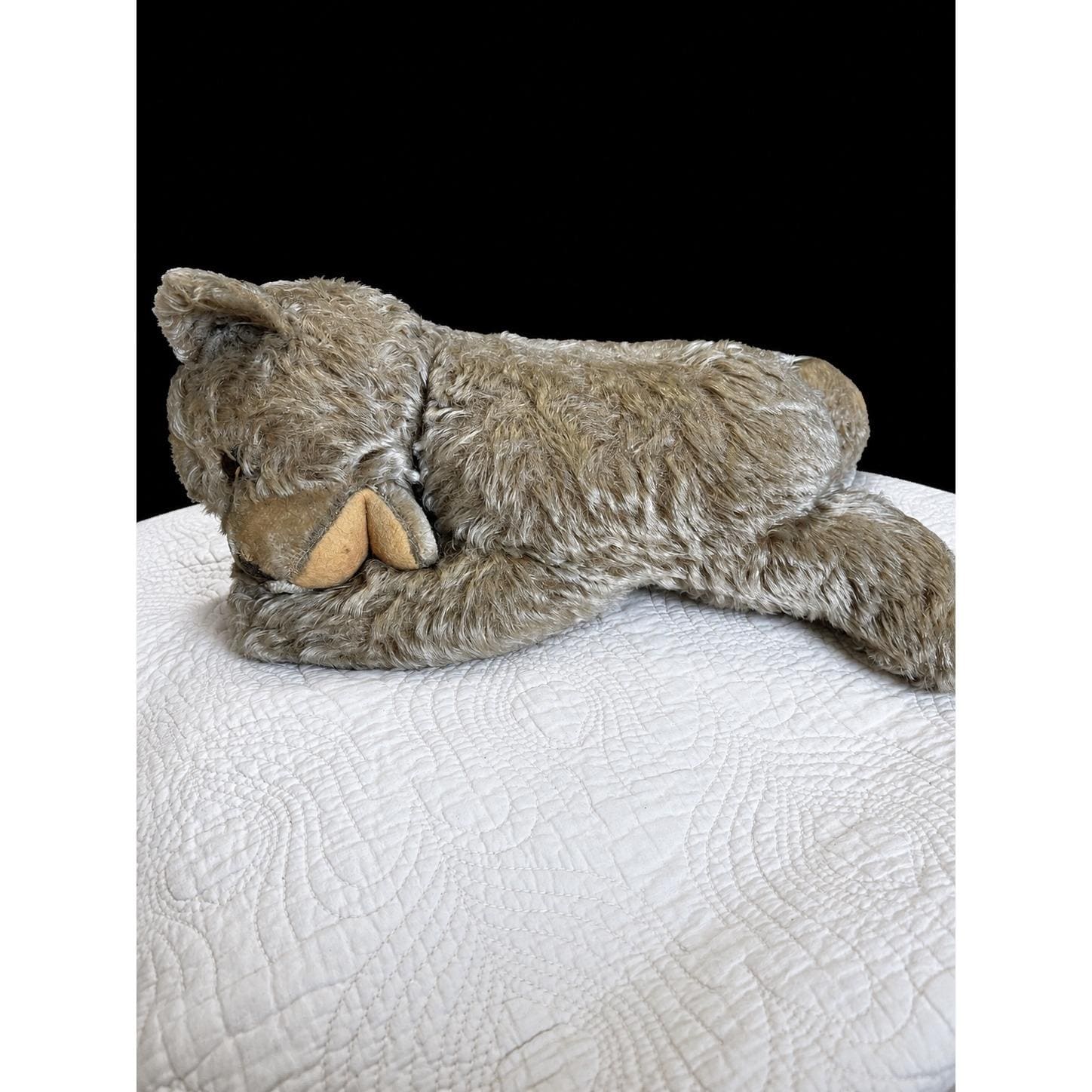 Steiff zotty bear - Etsy 日本
