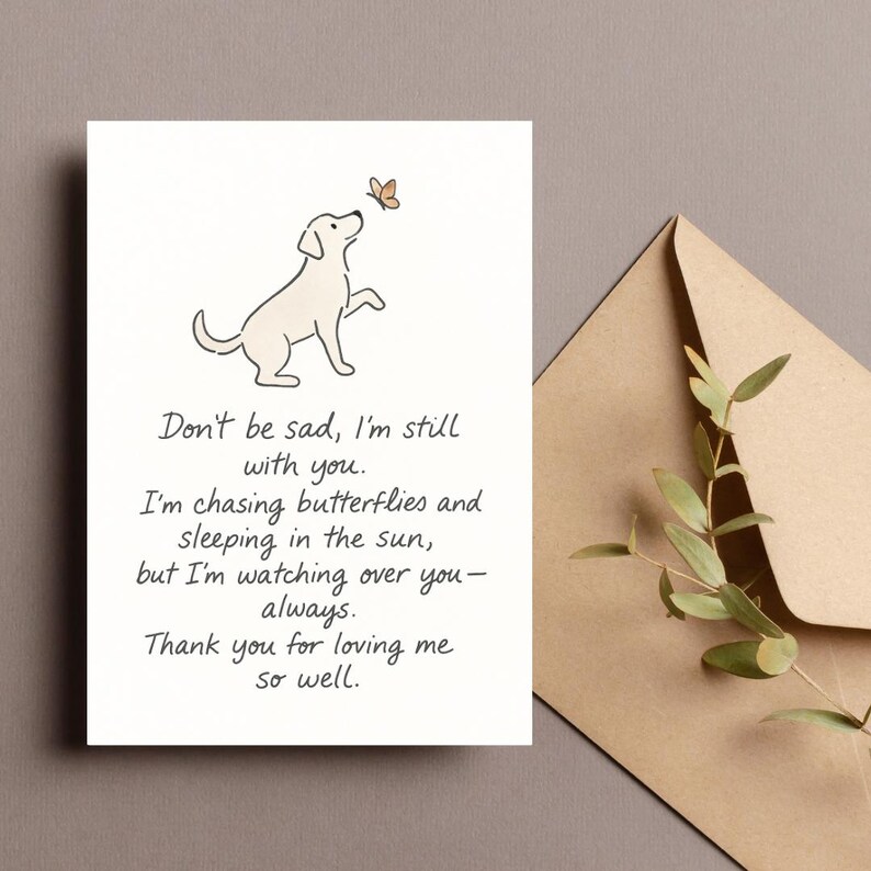 May include: A white greeting card with a line drawing of a dog looking at a butterfly. The card has text that reads "Don't be sad, I'm still with you." An envelope and greenery are in the background.
