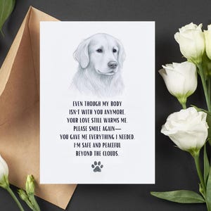 Old English Co. Daisy Thinking Of You Card - Green And White Floral Flower Sympathy