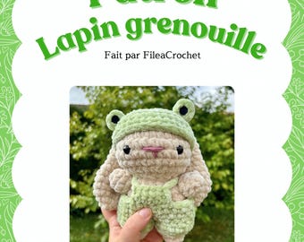 Rabbit and Frog Crochet Pattern PDF | Amigurumi Bunny Frog Pattern | French Tutorial | Original Crochet Pattern | Crochet Pattern