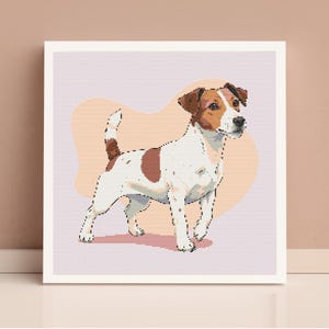 Op de afbeelding: Een witte en bruine Jack Russell Terrier met een roze achtergrond. De hond staat op alle vier poten met zijn hoofd schuin.