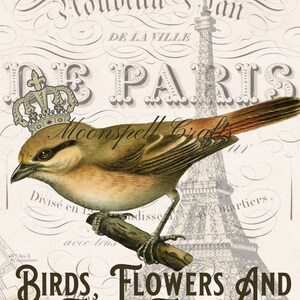 18 Digital Collage Sheets 6 Element Sheets 12 Full Size French Inspired Birds Flowers Eiffel Towers Junk Journal-Instant Download image 6