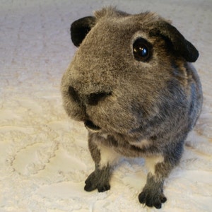 Pet Replicas, Animal Props, Realistic Plush, Dog Replica, Custom Dog, Pet urn, Guinea pig, rabbit, cat, horse, Disney