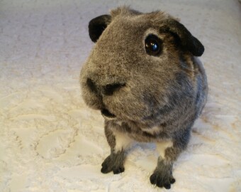 Custom Pet Plush Replica, Realistic Animal Prop, Dog, Cat, Guinea Pig