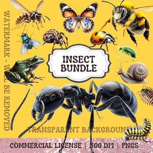 May include: A digital illustration of various insects and a frog on a yellow background. The image includes a butterfly, bee, ladybug, ant, and snail. Text reads "INSECT BUNDLE" and "TRANSPARENT BACKGROUNDS".
