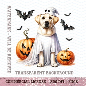May include: A digital illustration of a yellow Labrador Retriever dressed as a ghost for Halloween. The dog is wearing a white sheet and hat, with two orange jack-o'-lanterns and black bats. The words "Transparent Background" are visible.