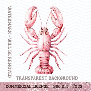 Langosta PNG Rosa Toile Clipart Costero Náutico Playa Descarga Digital Pescador Océano Crustáceo Mariscos PNG Diseño de Camiseta Uso Comercial