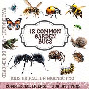 Op de afbeelding: Een digitale illustratie met 12 veel voorkomende tuin insecten, waaronder een vlieg, wesp, lieveheersbeestje, bij, vlinder, kikker, mier, spin, slak, rups en een groen insect. De tekst "12 Common Garden Bugs" staat in een decoratief kader.