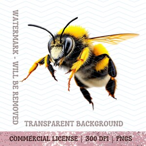 Clipart de abelha PNG Bumblebee para impressão Clip Art digital de abelha polinizadora Artesanato de abelhas PNGs Abelhas voando Abelha em voo PNG Insetos Buzz Bee