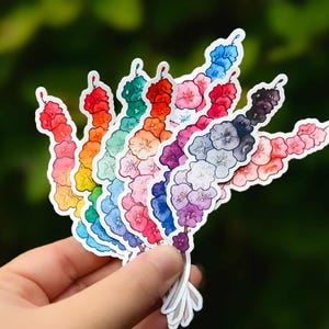 Stolz Blumenaufkleber | Aquarell Blumen Vinyl-Aufkleber | Regenbogen & LGBTQ Flaggen Aufkleber | Cottagecore Aufkleber