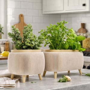 May include: Two beige planters with live herbs on a kitchen countertop. The planters have a ribbed design and wooden legs. One contains oregano, the other basil. The kitchen setting includes a wooden chopping board and white tiles.