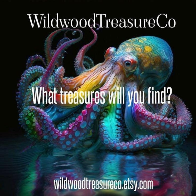 May include: A vibrant, multi-colored octopus with large, expressive eyes. The octopus is surrounded by water and has a spotted, textured skin. The text "WildwoodTreasureCo" and "What treasures will you find?" is displayed above the octopus. The text "wildwoodtreasureco.etsy.com" is displayed below the octopus.
