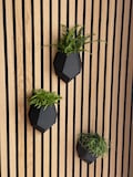 Plant accessories for acoustic wall panel, planter, plant, wall panel product logo