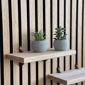 Puede incluir: Dos estantes de madera montados en una pared con listones de madera verticales. Cada estante tiene una pequeña planta en maceta. Las plantas son verdes y tienen una maceta de cerámica gris claro.