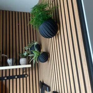 Ronde bol vaas voor planten voor akoestische wandpaneel, planter, plant, wandpaneel accessoires, meer maten en kleuren