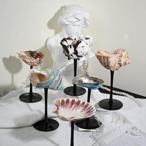 Natural Conch Shell Wine Glass,Beach Wedding Bridesmaid Gifts,Handmade Shell Martini Glasses,Goblet Cocktail Glass Cup,Martini Glasses, Gift