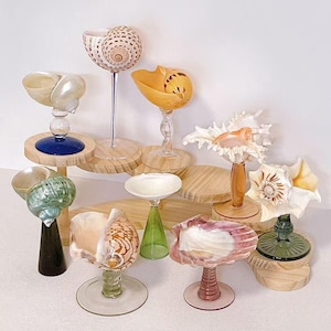Può includere: Una collezione di oggetti d'arte decorativi a forma di conchiglia. Varie conchiglie sono montate su steli di vetro e basi di legno. Le conchiglie mostrano una gamma di colori, tra cui bianco, arancione, rosa e verde. I pezzi variano per dimensioni e forma.