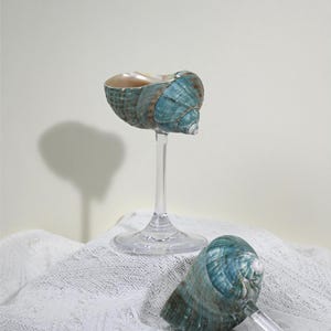 Seashell Wine Glasses, Blue Conch Martini Glasses, Beach Wedding Bridesmaid Gifts, Goblet Cocktail Glasses, Wedding Gift, Anniversary Gift