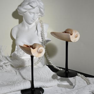 Seashell Martini Glasses - Trending Valentine&#39;s Day Gifts 2025 - Shell Wine Glasses - Wedding Bridesmaid Gifts
