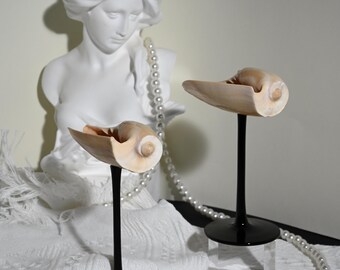 Handcrafted Seashell Martini Glasses – Coastal Beach Wedding Decor