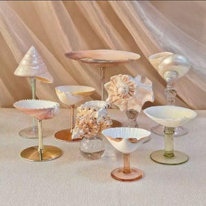 May include: A collection of decorative glassware and seashells. The glassware includes stemmed glasses and a small bowl, featuring a variety of colors and designs. The seashells are in various shapes and sizes, adding a natural element to the display.