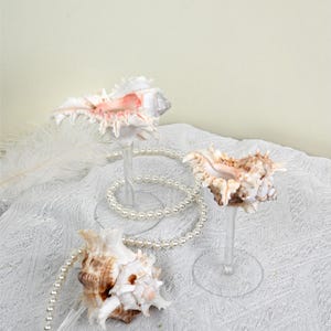 Shell Martini Glasses -2025 Popular Valentine&#39;s Day Gifts-Shell Wine Glasses-Wedding Bridesmaid Gifts - Beach Party Wine Glasses - Shell cup