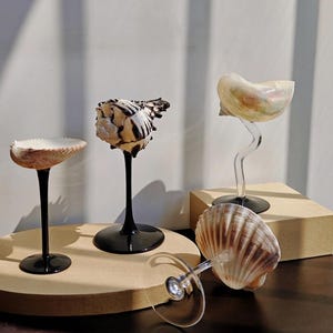 Op de afbeelding: Vier decoratieve objecten bestaande uit natuurlijke schelpen gemonteerd op slanke stelen met ronde voetstukken. Drie schelpen staan verhoogd op zwarte of doorzichtige stelen, terwijl één geribbelde, waaiervormige schelp op zijn zijkant rust.
