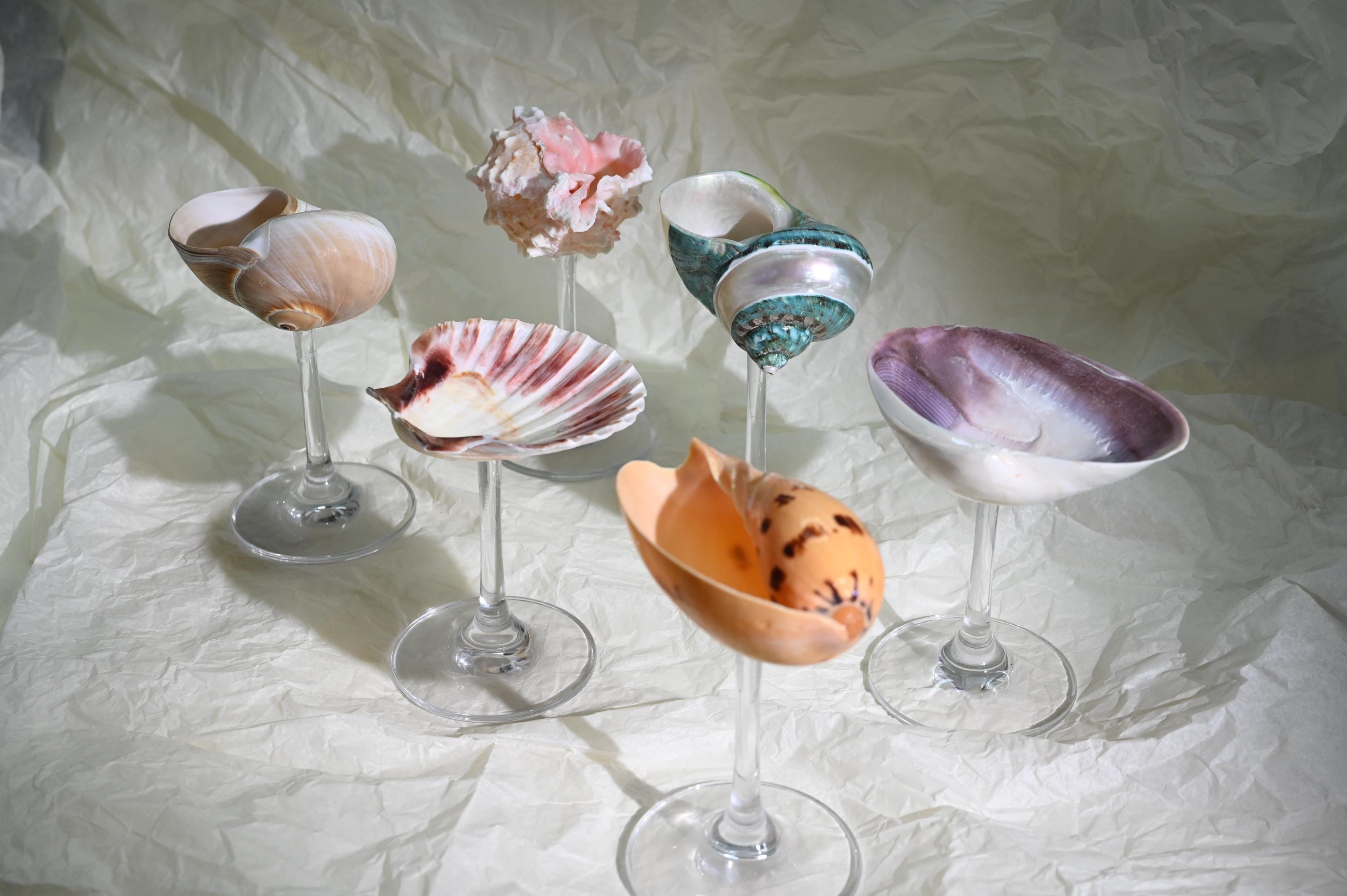 Natural Conch Shell Wine Glasses, Handmade Shell Wine Glasses, Wedding Souvenirs, Highball Glasses, Cocktail Glasses, Party Souvenirs