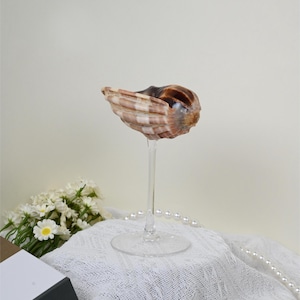 Customize Seashell Wine Glasses, Natural Conch Glass, Handmade Seashell Martini Glasses, Wedding Bridal Bridesmaid Gift, Party Goblets,glass