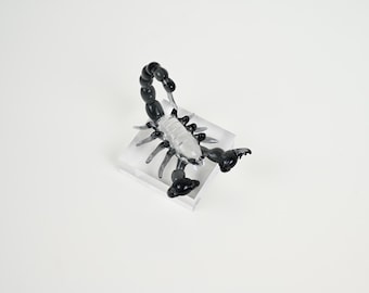 Blown Glass Scorpion Miniature, Art Glass Sculpture