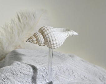 Handmade Seashell Wine Glass, Beach Wedding Martini Glass