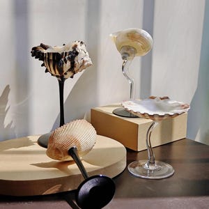 Verres à vin coquillage, verres à martini coquillages classiques, cadeau d'anniversaire de mariage, cadeau de demoiselle d'honneur, cadeau d'anniversaire, cadeau EVJF