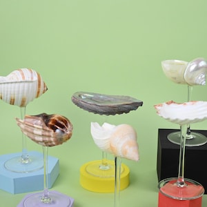 Natural Conch Shell Glasses, Beach Wedding Souvenirs, Handmade Shell Wine Glasses, Tall Cocktail Glasses, Martini Glasses, Wine Glass Sets