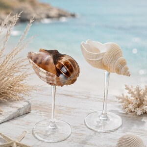Op de afbeelding: Twee wijnglazen met schelpen als kom, geplaatst op een wit houten oppervlak. Eén schelp is bruin en bruin, de andere is wit en beige. Een zeester, koraal en een schelp liggen ook op het oppervlak, met een strand en oceaan op de achtergrond.
