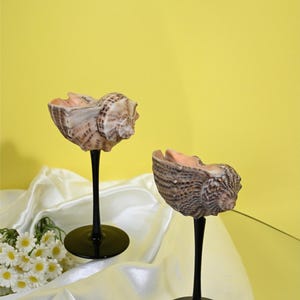 Seashell Martini Glasses - Trending Valentine&#39;s Day Gifts 2025 - Shell Wine Glasses - Wedding Bridesmaid Gifts