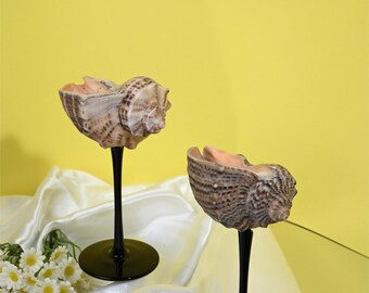 Copas de martini artesanales con forma de concha marina – Decoración para bodas costeras