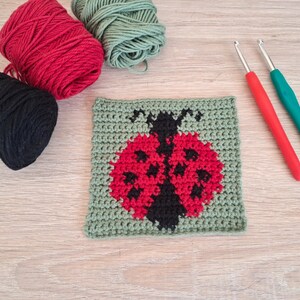 May include: A crocheted square featuring a ladybug design in red and black on a green background.  Three balls of yarn in red, green, and black are visible, along with two crochet hooks with red and green handles. Crafting supplies.