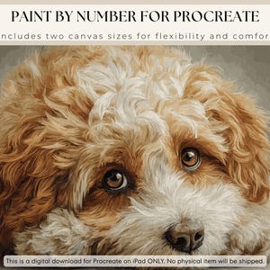 May include: Digital download for Procreate on iPad. The image features a detailed, close-up illustration of a fluffy, light brown and white dog with big brown eyes. The text at the top says "PAINT BY NUMBER FOR PROCREATE".