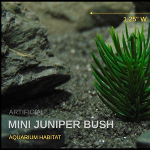 May include: Artificial mini juniper bush, 1.25" wide and 1.5" high, for aquarium habitat. The green plastic plant is surrounded by rocks and sand, creating a natural underwater environment.