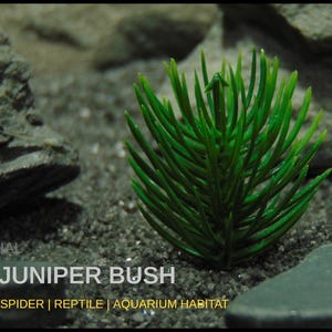 May include: Artificial mini juniper bush in a reptile or aquarium habitat. The bright green plant is surrounded by gray rocks and sand. The text "ARTIFICIAL MINI JUNIPER BUSH" is displayed in white.