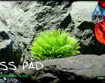 Artificial Moss Pad | Aquarium Plant PAP503