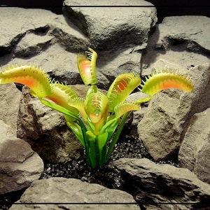 Artificial Venus Flytrap – Artificial Reptile Habitat Plant | PRP363