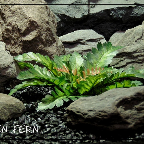 Artificial Silk Bracken Fern – Silk Reptile Tank Plant | SRP464