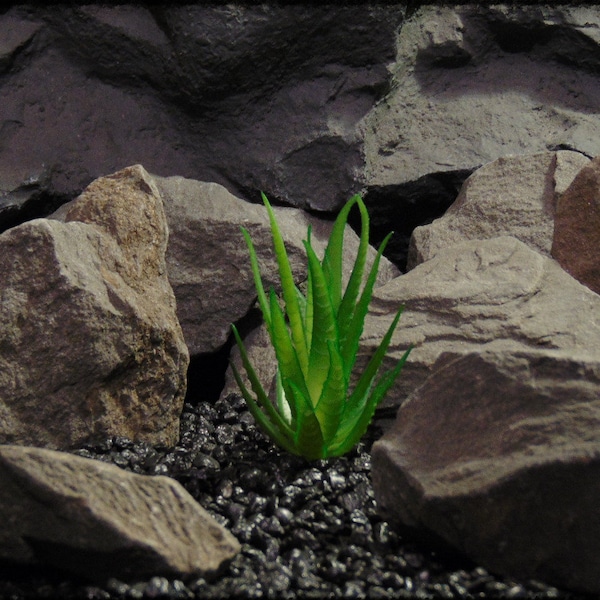 Fake Reptile Plants Etsy