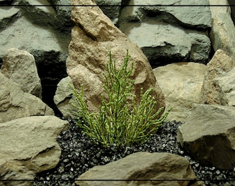 Artificial Spanish Moss Bush – Desert Reptile Tank Plant | PRP484