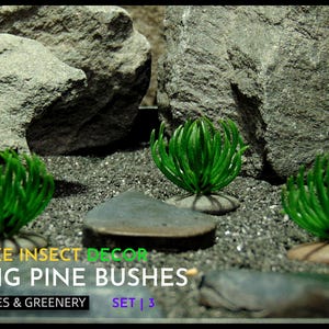May include: A terrarium scene featuring three bright green Mini Ming Pine Bushes, set amongst gray pebbles and large gray rocks. The text "REPILE SNAKE INSECT DECOR" and "MINI MING PINE BUSHES" is visible. The set includes pebbles and greenery.