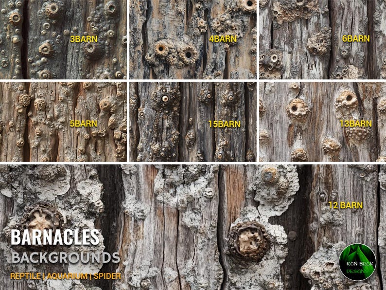 Barnacles Enclosure Background Wallpaper 12