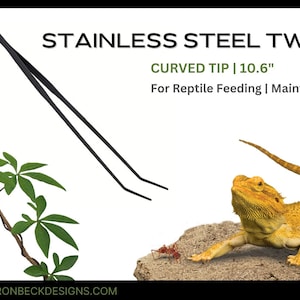 Stainless Steel Tweezers For Reptile Feeding - Maintaining | SSRA505