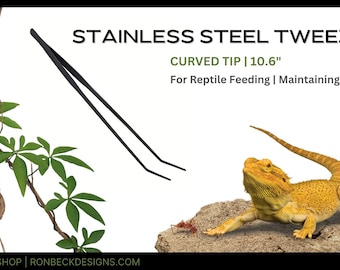 Stainless Steel Tweezers For Reptile Feeding - Maintaining | SSRA505